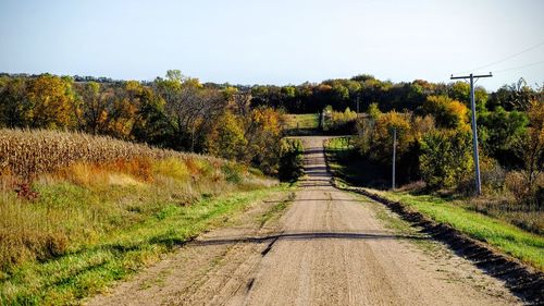 Empty dirt road amidst trees on sunny day during autumn