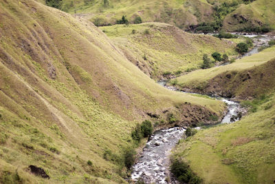 Scenic view of stream flowing through land