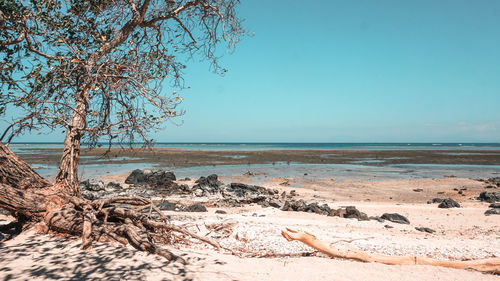 Scenic view of sea against clear sky