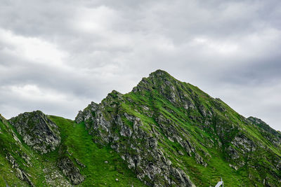 Transfagarasan through the fagaras mountains with green vegetation