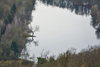 Scenic view of lake in forest