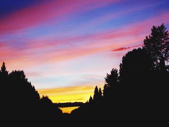 Silhouette of trees at sunset