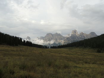 Scenic view of field against sky