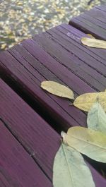 Close-up of water on beach