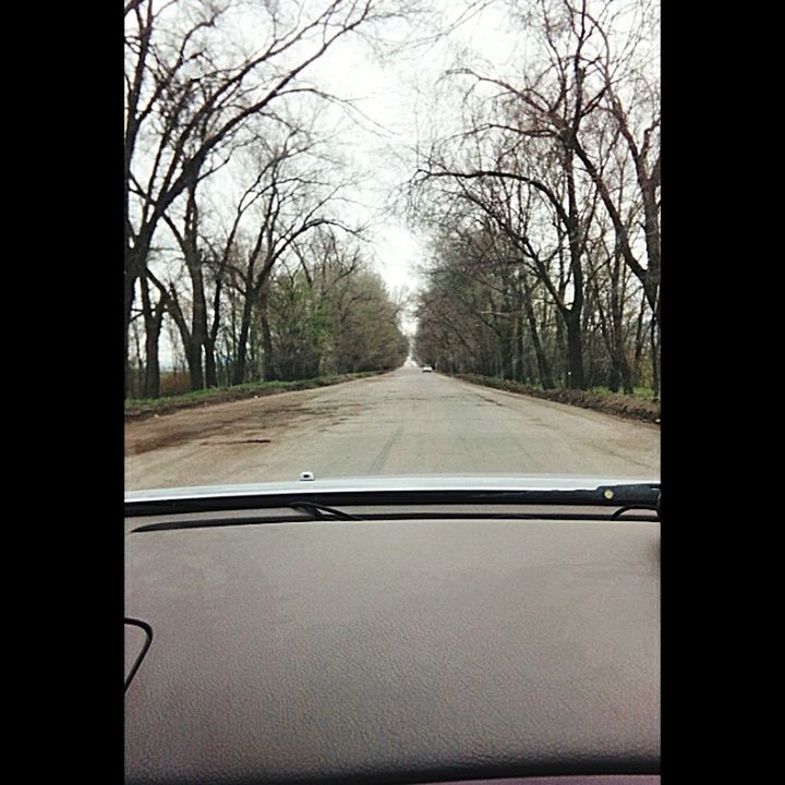 transportation, tree, transfer print, the way forward, bare tree, diminishing perspective, road, auto post production filter, vanishing point, sky, car, mode of transport, windshield, vehicle interior, clear sky, glass - material, transparent, no people, long, empty