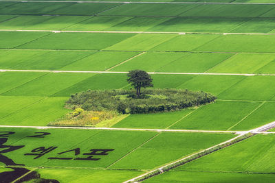 High angle view of green landscape