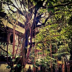 architecture