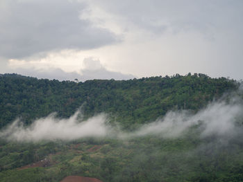 environment