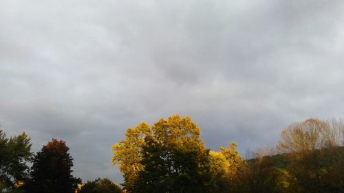 Low angle view of trees against cloudy sky