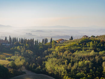 High angle view of plants on landscape against sky