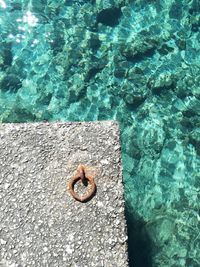 High angle view of swimming pool