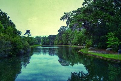 Reflection of trees in lake