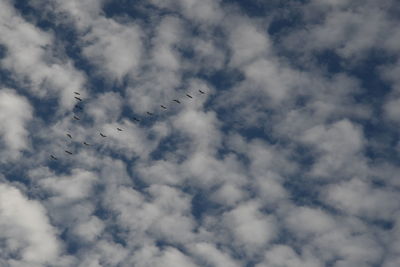 Low angle view of airplane flying in sky