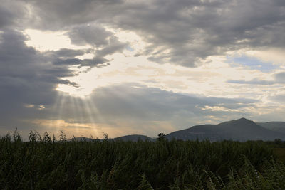 Scenic view of landscape against sky during sunset