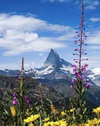 Matterhorn