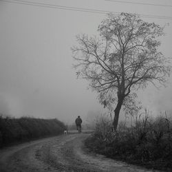 Rear view of silhouette man walking on bare tree