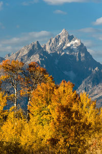 Scenic view of tree mountains against sky during autumn