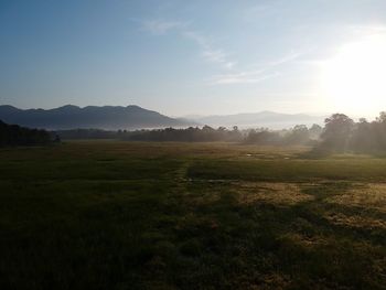 Scenic view of field against sky