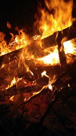 Close-up of bonfire at night