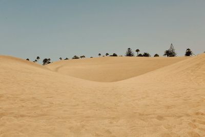 Scenic view of desert against clear sky