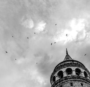 Low angle view of birds flying against sky