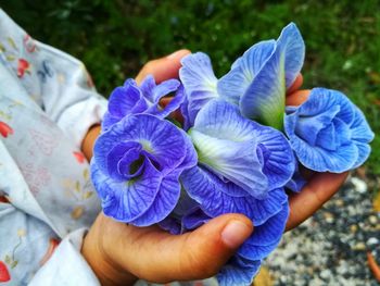 Close-up of hand holding purple flowers