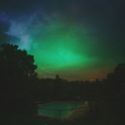 Low angle view of silhouette trees against sky at night