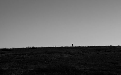 Silhouette bird on field against clear sky
