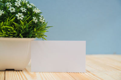 Close-up of potted plant on table against wall