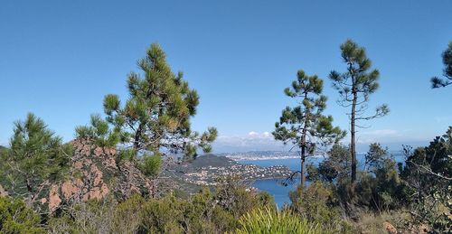 Scenic view of lake against clear blue sky