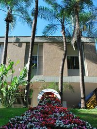 View of plants in front of house