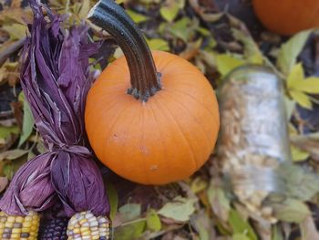 Close-up of pumpkin