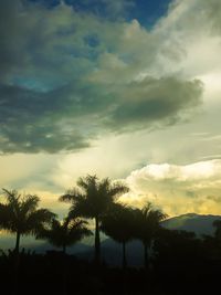Silhouette of trees against cloudy sky