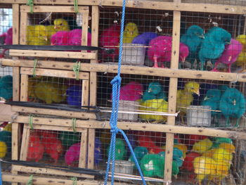 Full frame shot of colorful cage