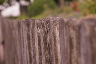 Close-up of wooden fence against blurred background