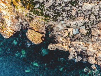 High angle view of lizard on rock by sea