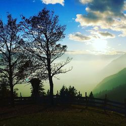 Silhouette trees on landscape against sky at sunset