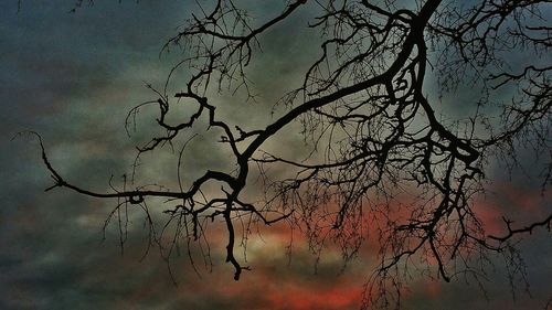 Low angle view of bare trees against sky