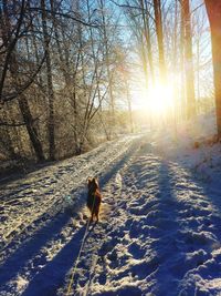 winter