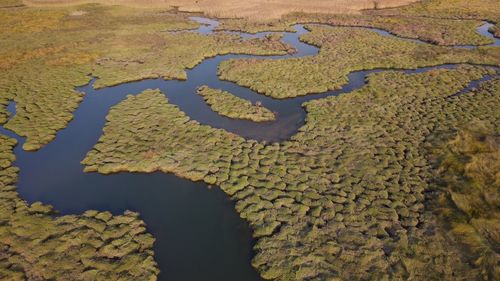 High angle view of agricultural landscape