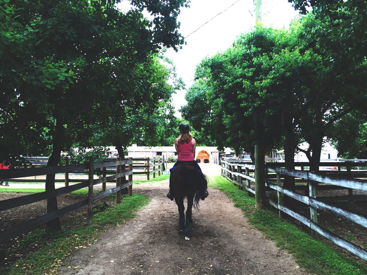 tree, full length, rear view, the way forward, walking, lifestyles, diminishing perspective, growth, transportation, vanishing point, road, green color, footpath, casual clothing, day, person, leisure activity, treelined