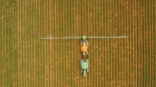 Aerial view tractor spraying the chemicals on the large green field. 