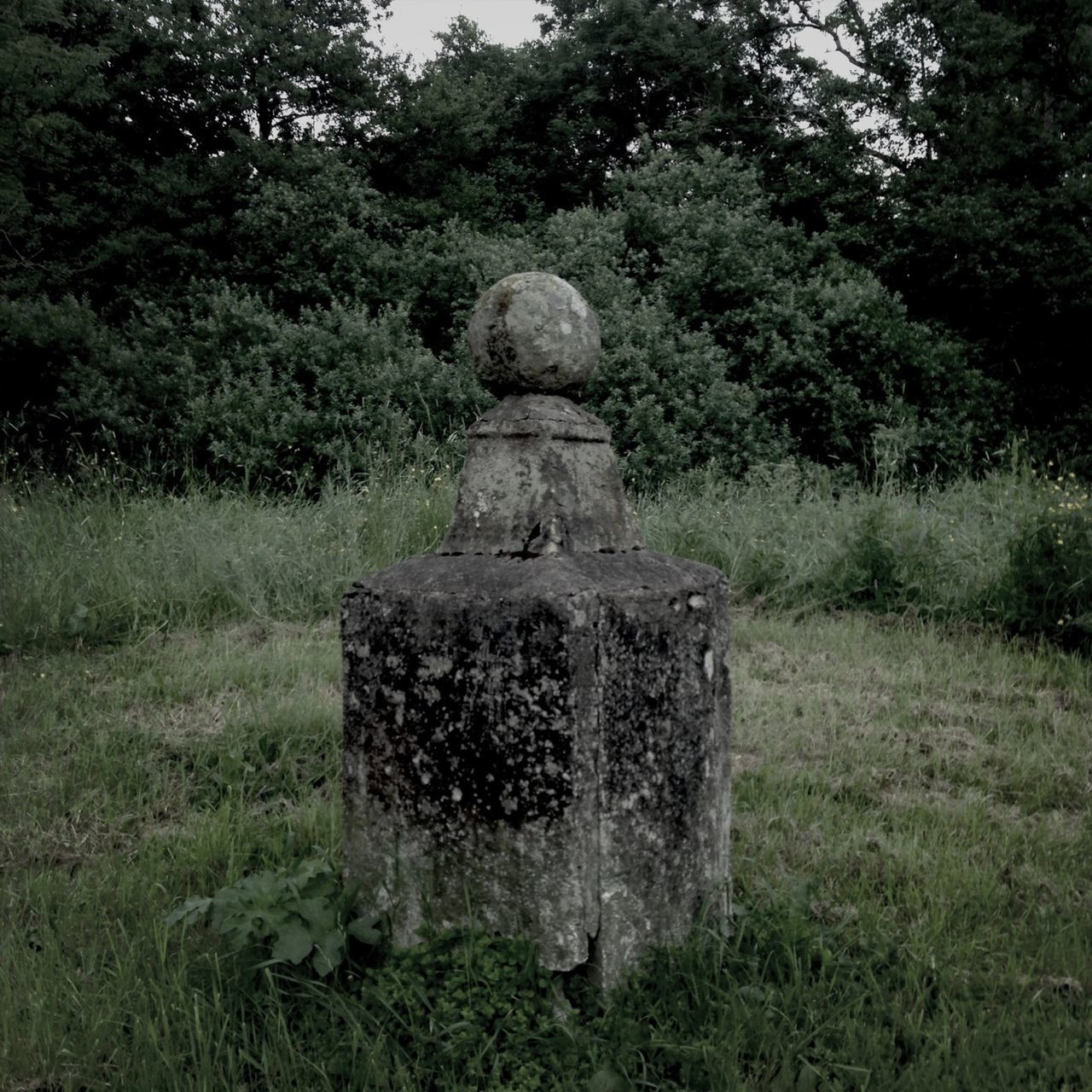 tree, grass, sculpture, human representation, stone material, statue, cemetery, tombstone, tranquility, growth, art, art and craft, green color, field, nature, old, creativity, stone - object, plant