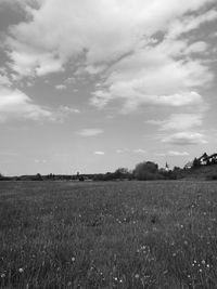 Scenic view of wheat field against sky