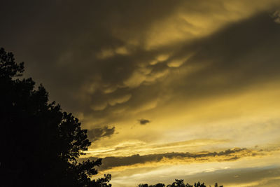 Low angle view of silhouette trees against sky during sunset