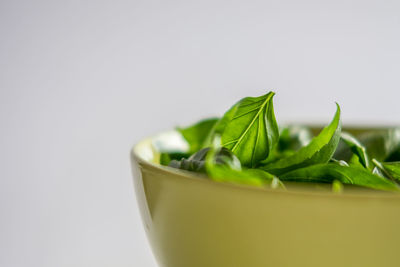 Close-up of lemon over white background