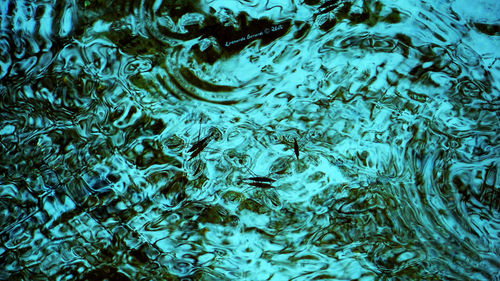 Full frame shot of raindrops on water
