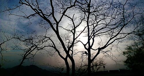 Low angle view of bare trees against sky