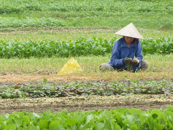 Woman harvesting vegetables on field