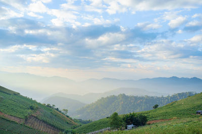 Scenic view of landscape against sky